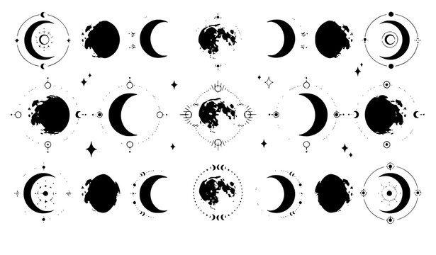 Celestial phases collection moon cycle illustrations with botanical and mystical elements