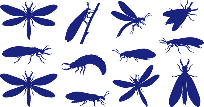 Blue dobsonfly and insect silhouette collection isolated on transparent background pack