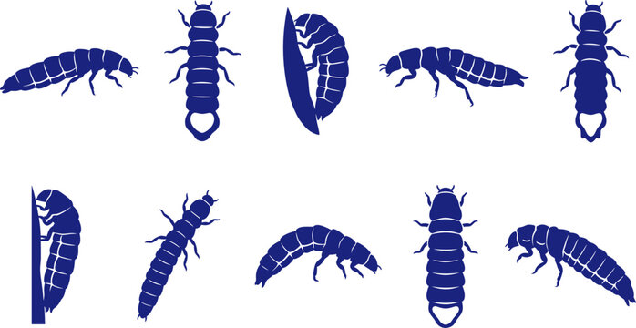 Blue insect larva and grub silhouette collection on transparent background pack