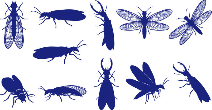 Blue termite and winged pest insect silhouette pack on transparent background Collection