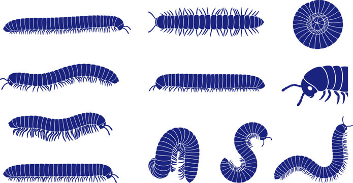 Crawling millipede silhouette bundle displaying different segmented wormlike arthropods in various positions Collection
