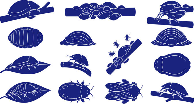 Scale insect silhouette bundle featuring various plant pests crawling on plant stems Collection