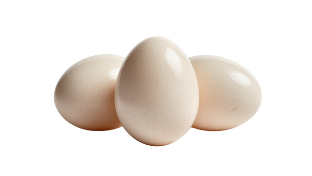 Three pale beige eggs clustered together