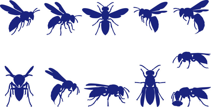 Wasp and hornet silhouette pack illustrating stinging insects flying and crawling on white Collection