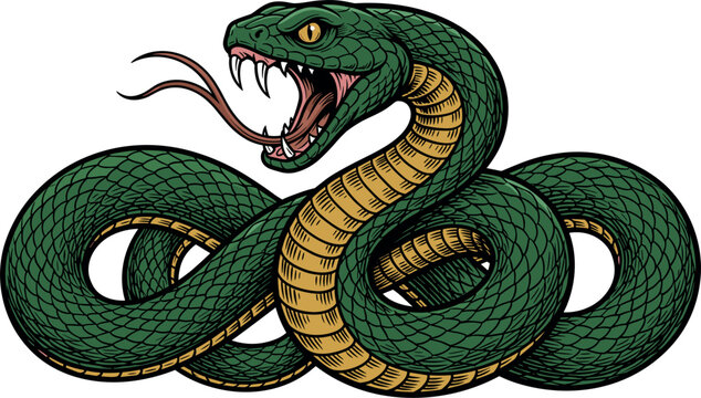 Aggressive Green Snake Mascot Vector Illustration with Open Mouth Sharp Fangs and Forked Tongue for Sports Team Logos and Apparel Graphics