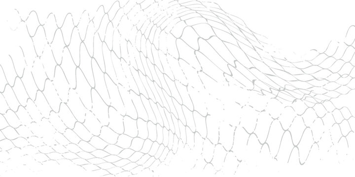 Black snake skin pattern isolated on white background eps 10