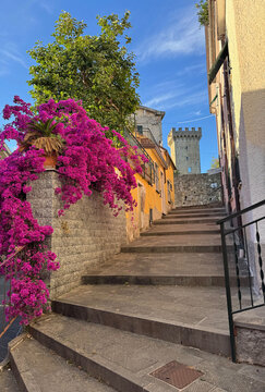 castelnuovo magra