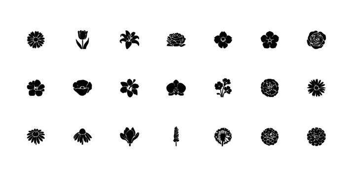 Flowers in Black and White Graphic Design Featuring Various Stylized Floral Illustrations Featuring Botanical, Nature, Art with Vector and Minimalist
