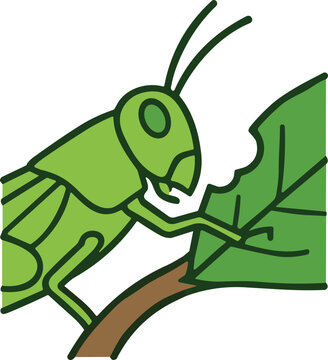 Green Grasshopper Eating Leaf on Branch - Insect Macro Detail