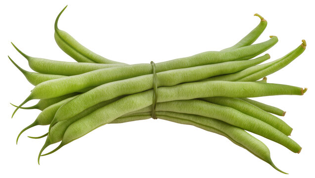 Bundle of fresh green string beans tied with twine