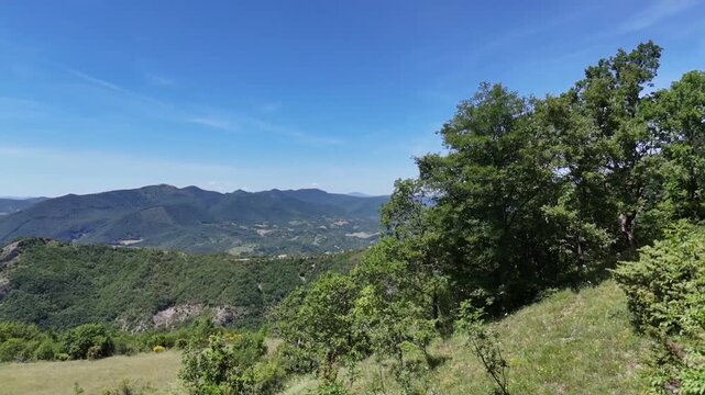 Pendio erboso con alberi e arbusti in primo piano, affacciato su una vasta vallata verde circondata da montagne sotto un cielo limpido