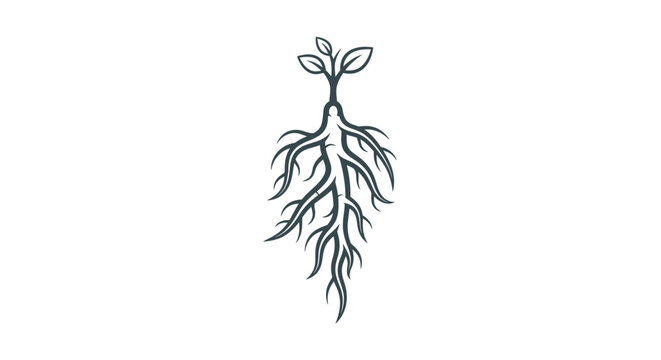 Green plant with root system.