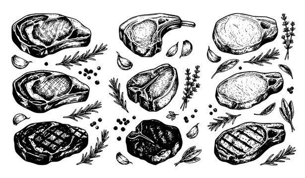 Hand Drawn Steak and Meat Cuts Collection with Herbs and Seasonings