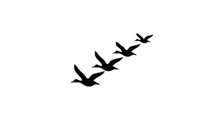 Geese flying in a formation representing migration and the natural movement of wildlife across the sky as a seasonal phenomenon for environmental and nature themes. © Liceng