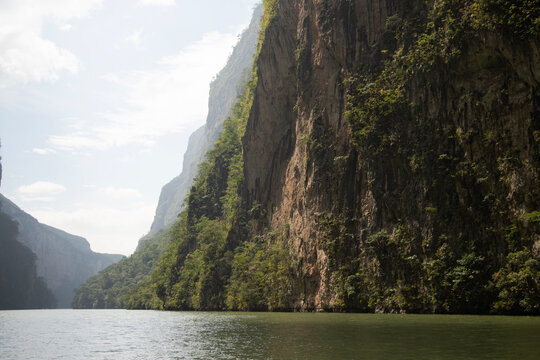 Majestic and lush vegetation on the cliffs of the Sumidero canyon in the Chiapas region, Mexico.