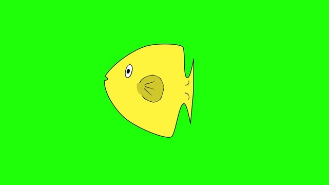 looping animated video of a yellow Zeus faber fish swimming on green screen