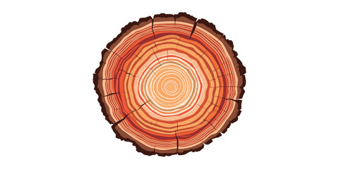Detailed illustration of a tree trunk cross section showing annual growth rings in various shades of brown and tan. © kamdesign