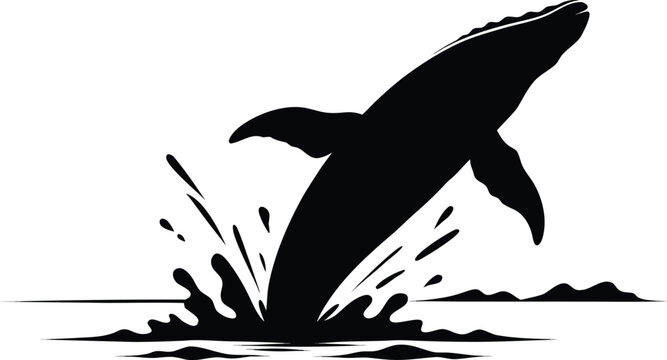 Majestic black silhouette of a breaching whale jumping from the ocean water with dramatic splashes