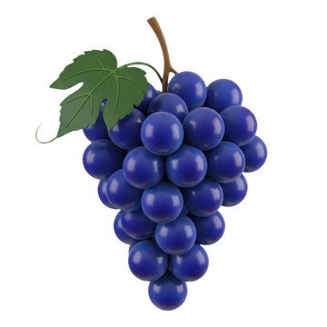 Fresh bunch of juicy blue concord grapes with green leaf viticulture vineyard