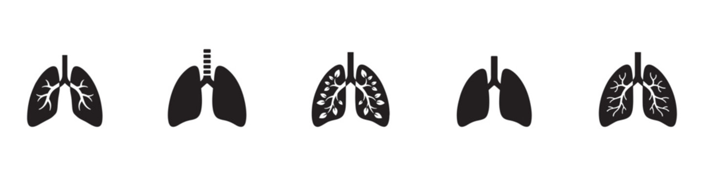 Human lungs icon set. Respiratory system organs with bronchial tree and leaf textures symbols. Pulmonary health, medicine and clean air concept. Vector illustration.