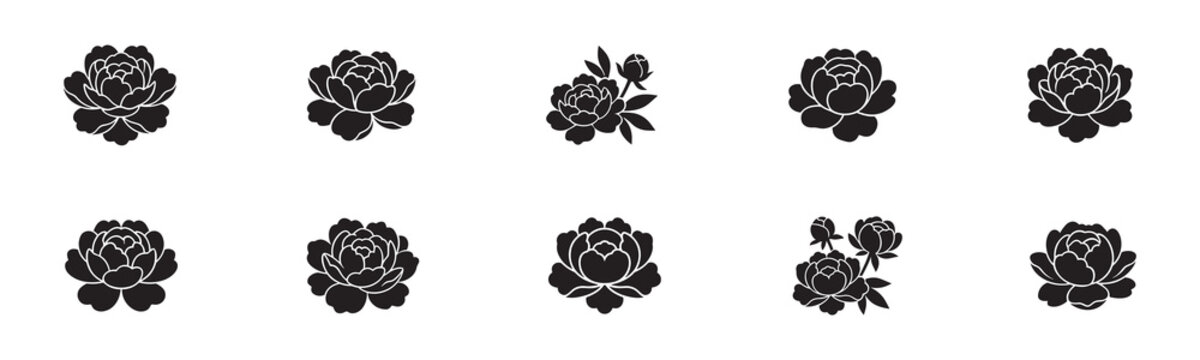 Peony icon set. Open blossom heads, buds and leaves symbols. Vector illustration.