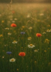 Obraz premium Serene wildflower meadow wallpaper.