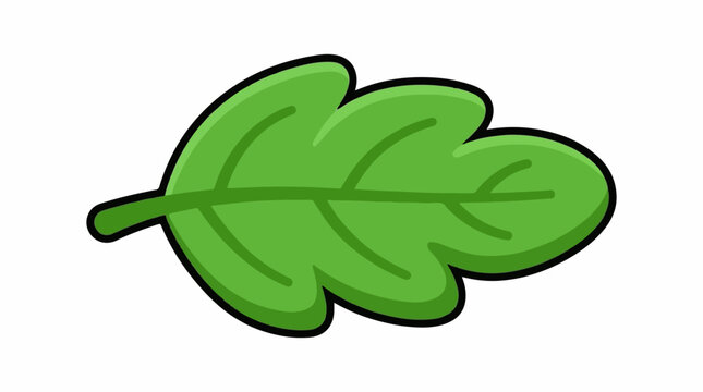 A green leaf with three rounded lobes and a short stem
