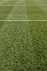 Obraz premium Fan Viewing Snacks In Empty Soccer Field