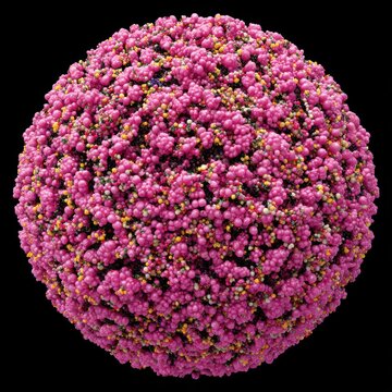 Spherical Surface of Colorful Sprinkles - Isolated