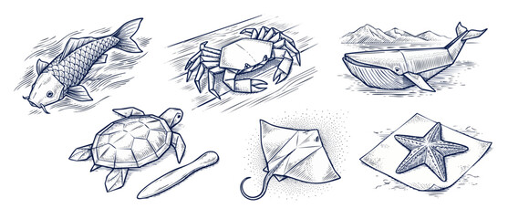 Obraz premium Marine animals geometric engraving sketch collection featuring whale, sea turtle, crab, koi fish, stingray, and starfish in hand drawn line art style on white background for nautical design concepts.