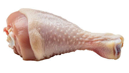 Raw chicken drumstick with skin and bone © Thaddeus