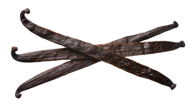 Three dried vanilla bean pods crossed on white
