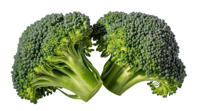 Two fresh broccoli florets with thick green stems