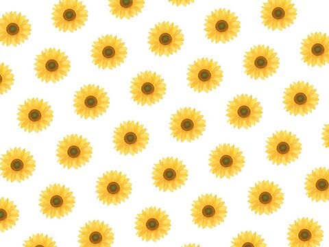 白バックに向日葵の花模様の背景素材イラスト