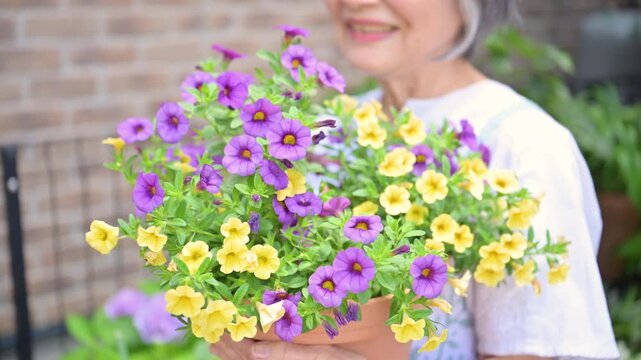 庭の花を手入れする顔無しのクローズアップ　園芸やお花屋さんなどの花壇のイメージの動画