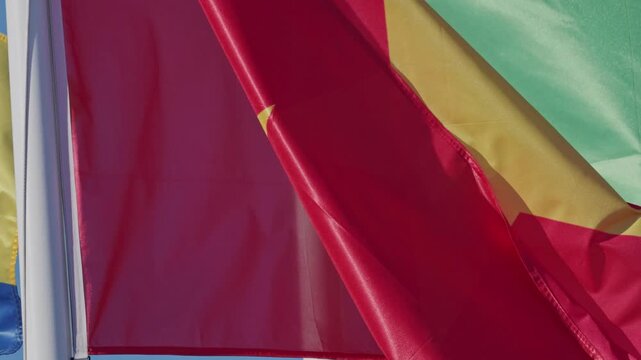Waving cameroon flag with yellow star blowing in the wind