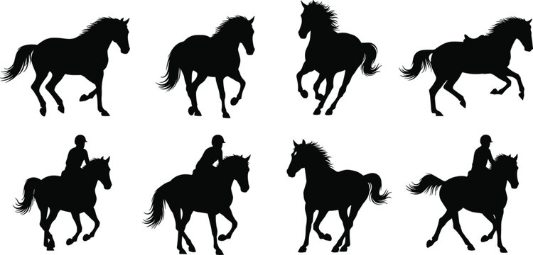 Collection of equestrian sports silhouettes featuring galloping horses wild mustangs and jockeys riding isolated on white