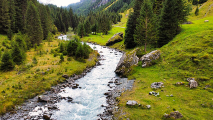 Alpines Flusstal in der Schweiz mit Bergen und Wald © Daniel