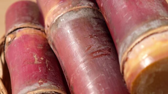 video of close-up of fresh sugarcane.	