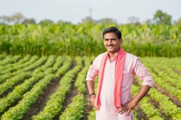 happy young indian farmer standing at green peanut farm © PRASANNAPIX