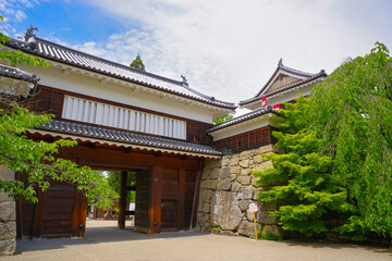 Fototapeta premium 長野県上田市にある上田城