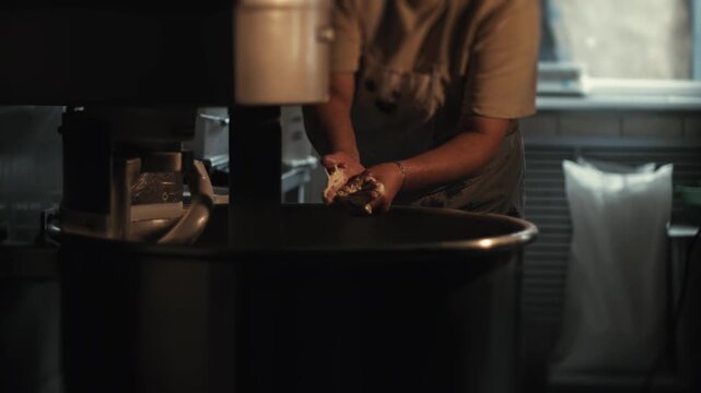 Woman hands working with ingredients over large industrial spiral dough mixer. Preparing for bread making. Focus on hands and bowl. Bakery environment. Food production. Female baker adds yeast to bowl
