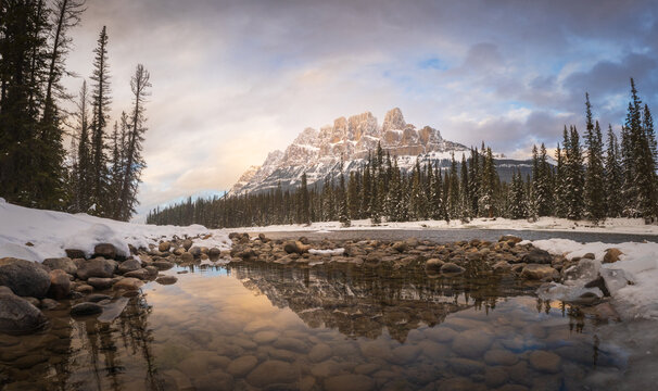 View of the snow-covered peaks along the Icefields Parkway reflecting in a calm river with smooth stones and evergreen forests in Jasper, Alberta, Canada.