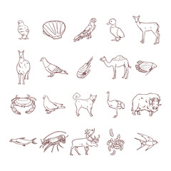 Obraz premium Hand Drawn Wildlife Animal Collection Set