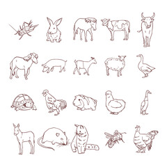 Obraz premium Hand Drawn Farm Animal Collection Set