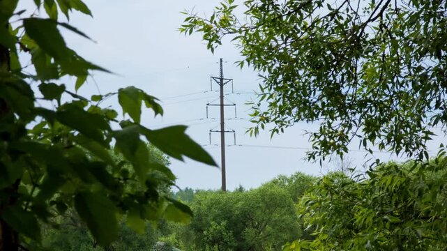 Industrial power line pole stands against clear sky, its complex structure of wires and insulators juxtaposed with lush green canopy. Verdant leaves frame foreground, highlighting coexistence of natur