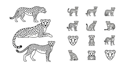 Cheetah poses and heads set in line art © cintya