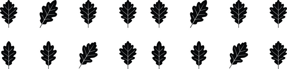 Fototapeta premium Oak leaf silhouettes collection in various shapes and angles for natural autumn or foliage design projects.