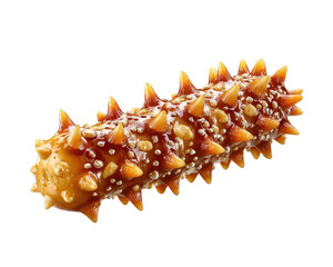 Fototapeta premium Sea Cucumber with Spikes: A detailed macro shot of a spiny sea cucumber, showcasing its unique texture and vibrant orange spikes against a clean backdrop.