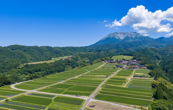 Rice Fields and Village Beneath Mount Daisen